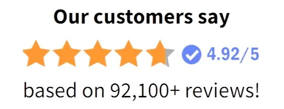AudiLeaf Customer 